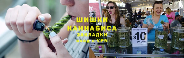 крисы Богородск