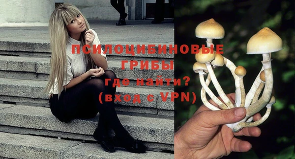 прущая мука Белоозёрский