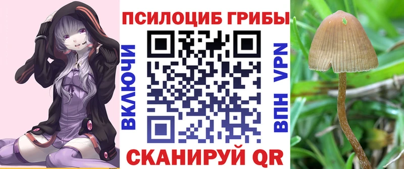 Галлюциногенные грибы Psilocybine cubensis  маркетплейс какой сайт  Белоярский 